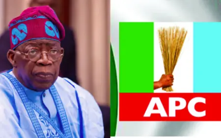 APC, Tinubu Involved In Destabilising Opposition Parties —Tambuwal