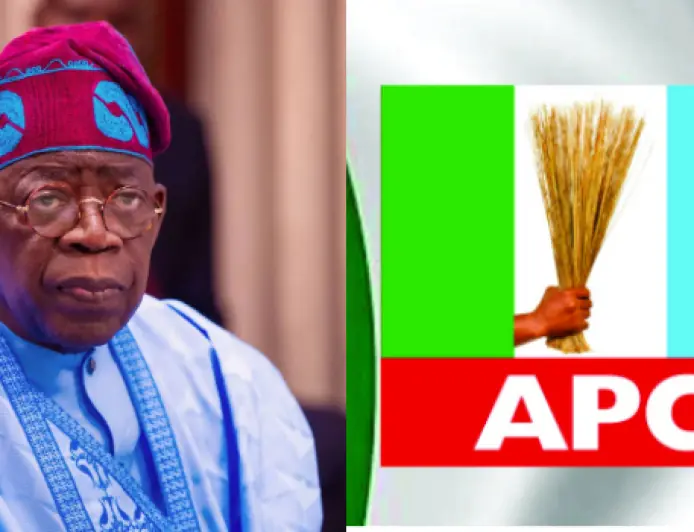 APC, Tinubu Involved In Destabilising Opposition Parties —Tambuwal